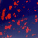 DarkBlue Red